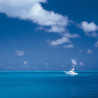 Img #2