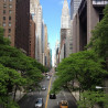 Img #1