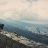 Img #1