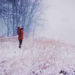 Img #3
