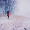 Img #3