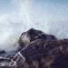 Img #1