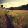 Img #1