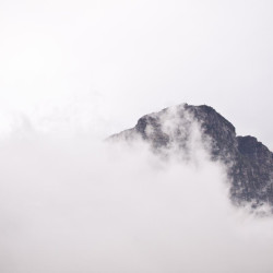 Img #1