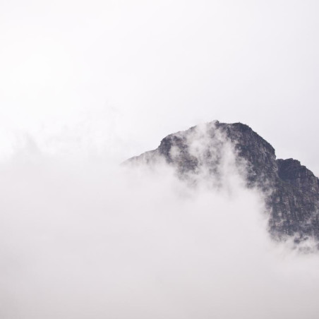 Img #1