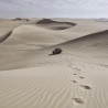 Img #4