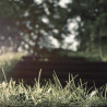 Img #1