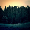 Img #1