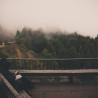 Img #1