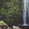 Img #7