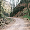 Img #1
