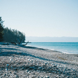 Img #1