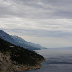 Img #1