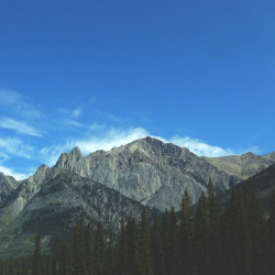 Img #1