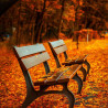 Img #7