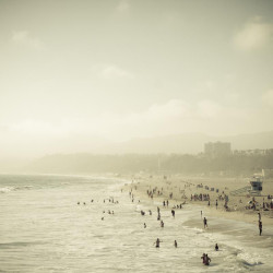 Img #1