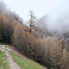 Img #1