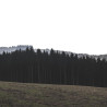 Img #4