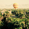 Img #1