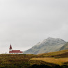 Img #1