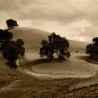 Img #1