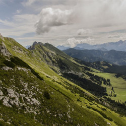 Img #1