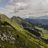 Img #1