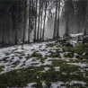Img #1