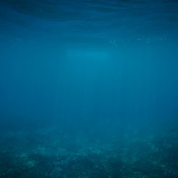 Img #1