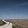 Img #1