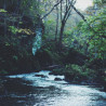 Img #1