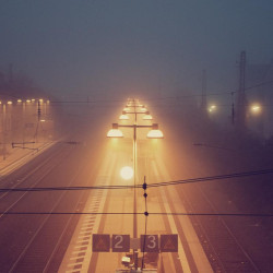Img #1