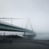 Img #2