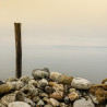 Img #1