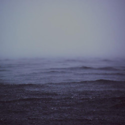 Img #1