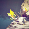 Img #2