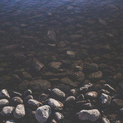 Img #1