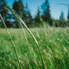 Img #1