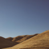 Img #1