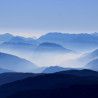 Img #1