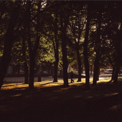 Img #1