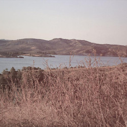 Img #1