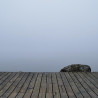 Img #1