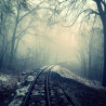 Img #1