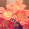 Img #4